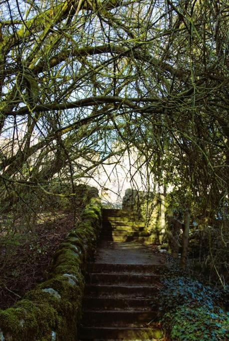 Gorgeous Cozy Cottage With A Heritage Feel, Walks, Pubs & Wood Burner Tideswell Eksteriør bilde